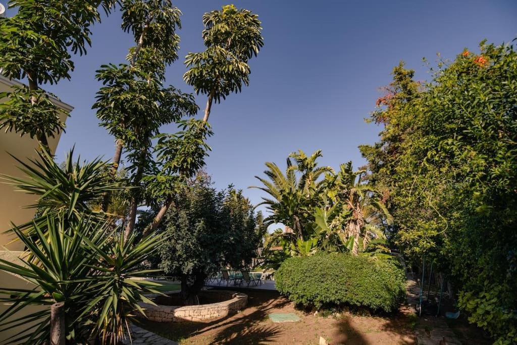 Elmar Villa