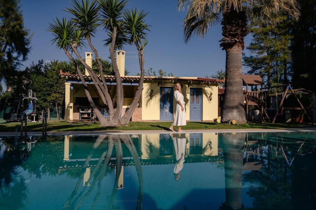 Elmar Villa *